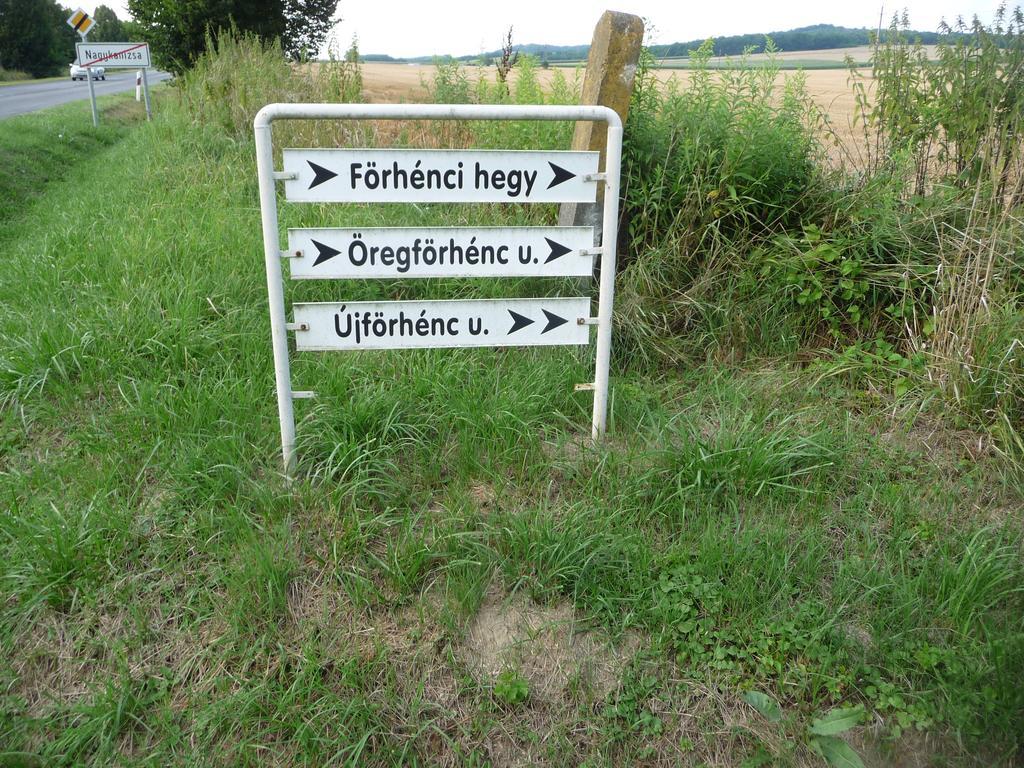Foerhenc Wine House & Guesthouses I-Ii-Iii Nagykanizsa Exterior foto